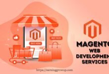 Magento Web Development Services