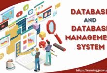 database and database management system