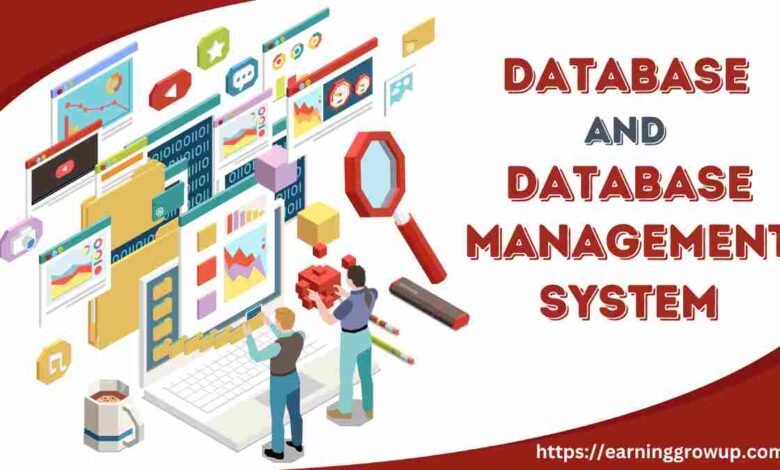 database and database management system