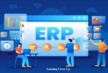 Enterprise Resource Planning Systems